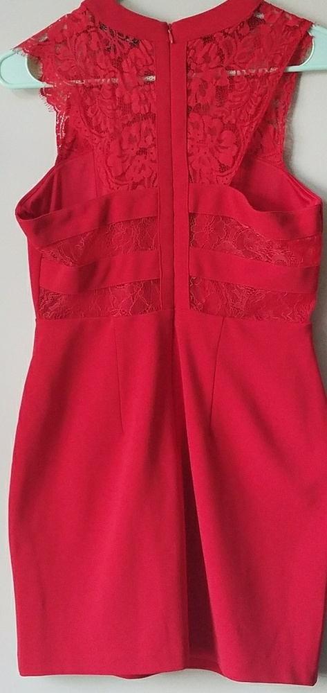 Express Dress - Picture 4 of 6